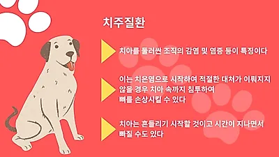 반려견 치주질환 예방법? 치아관리, 매일 ‘양치질’부터