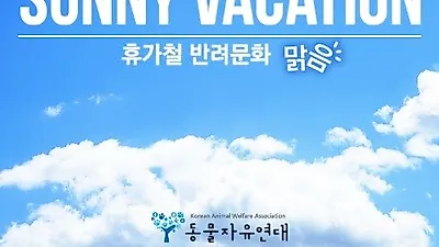 동물자유연대, 휴가철 지켜야할 반려동물 문화 '6가지'