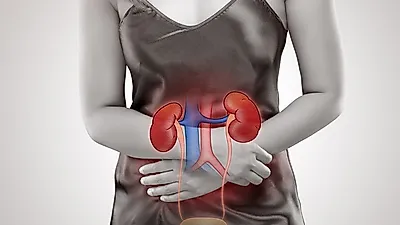 콩팥이라 불리는 신장에좋은음식