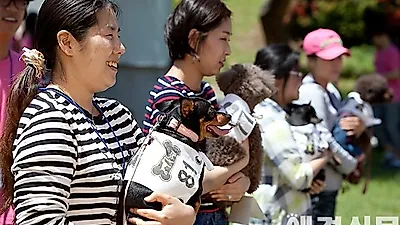 [포토] 애견한마당 '기다리는 시간도 즐거워'