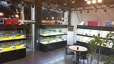 확실한 출처와 사후관리로 강아지, 고양이분양을 안전하게, 프렌차이즈 펫샵 '요미펫' 안산점