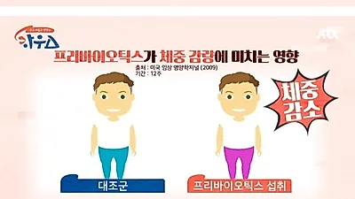 프리바이오틱스, 체중↓ 행복감↑ 제대로 먹는 방법 뭐길래? '프리바이오틱스 부작용 주의해야 하는 경우' 주목