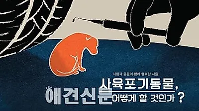 서울연구원  "늙고 병든 개보다 어리고 건강한 개들이 더 많이 버려진다"