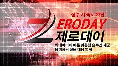 IT보안 제로데이(Zeroday), 몸캠피씽&동영상유포협박 24시간 차단 서비스 제공 "몸캠피싱 OUT"