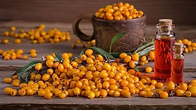 비타민열매가루,  필요한 영양소 200여 가지 함유로 다양한 효능…   "가루섭취가 흡수하기 좋아"