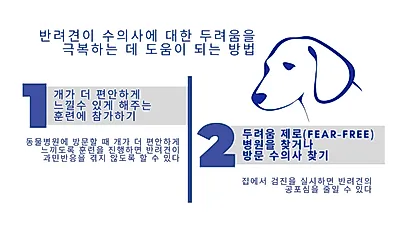 병원 갈 때마다 두려움에 공격성 보인다면? ‘익숙해지기’ 훈련 要