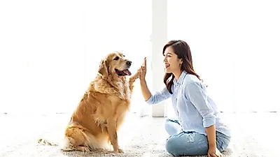 주택청약 1순위 조건 해봤자다? "가산점에 초점 맞춰야" 신청방법 알아보기...청년 우대형 청약통장 조건