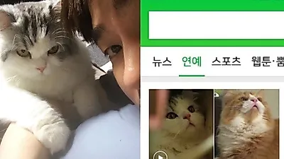 윤균상, 네이버 포털에 올라온 반려묘 사진 자랑 "집사겸 매니져 융귱상"