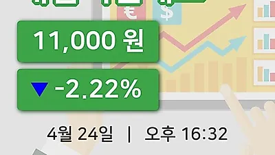 주식마감대림씨엔에스 24일 11,000원 마감그래프종합분석