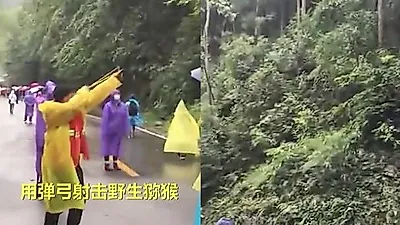中 국립공원서 야생원숭이 '새총' 쏴서 몰아내…"관광객 보호하기 위한 것"
