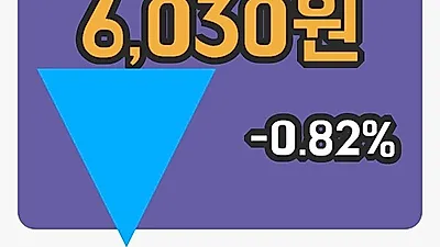 주식마감금호전기 13일 6,030원 장종료...