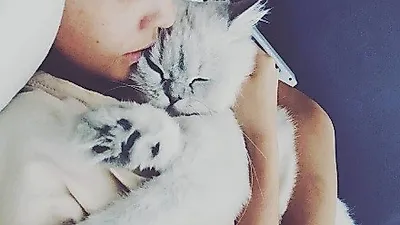 구하라, 침대에 누워 반려묘 안고 다정다감 '찰칵'