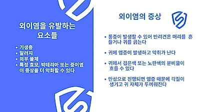 반려견에게 흔한 ‘귓병’ 외이염, 수컷이 암컷보다 발병 多