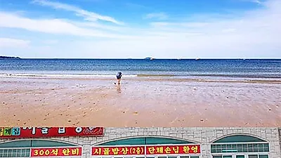 충남 향토음식 '게국지'를 맛보고 싶다면, 안면도맛집 시골밥상으로