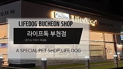 '라이프독 부천점', 세심한 자견돌봄캠페인 자체 진행으로 부천, 인천애견분양 안심 업체로 알려져