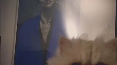 이엘 반려묘, 어둠 속에서도 빛나는 망고