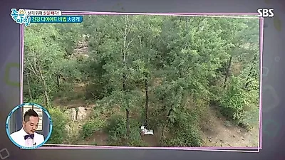 시서스 다이어트 효능, 8주간 시서스를 복용했더니?…올바르게 시서스 먹는법은?