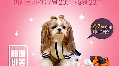 강아지분양 전문 베이비몽, 여름휴가철 애견분양 시 호텔무료서비스 진행
