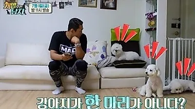 '개밥 주는 남자' 김동현 가족 공개, 귀여운 비숑프리제 세마리
