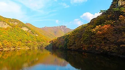 공기 좋은 남양주 가볼 만한 곳 으로 꼽히는 황화코스모스 물의정원