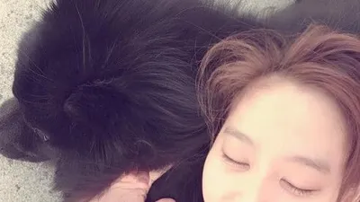 다나 반려견 팀버 베고 누워 '빙그레 웃음'