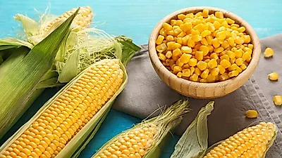맛있게 먹으면 0? '옥수수' 진짜 칼로리는? '초당옥수수' 수확시기 맞아 옥수수 효능과 부작용 정리... 에어프라이어로 옥수수 찌는 법외 옥수수 음식물 쓰레기 여부?