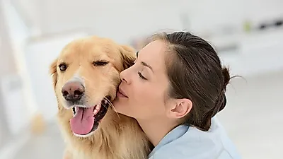 다른 몸짓 다른 언어?...반려견과 반려묘의 고유한 사랑 표현법