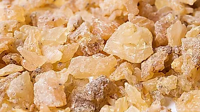 '1년에 350g' 귀한 약재 '보스웰리아', 무릎·연골·관절에 좋다는데… 부작용 없이 먹으려면?