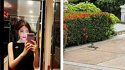 신주아 남편 직업 '대기업 대표 이사'라더니 집이 궁궐? "오늘 우리집은 동물원" 나이 및 첫 만남 등 재조명