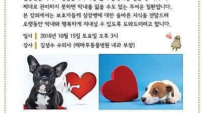 해마루케어센터, '우리 집 막내의 심장병 관리법' 15일 개최