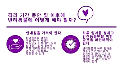 반려동물도 코로나 일상에 적응 中