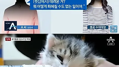 채널A 갑수목장 폭로 영상 논란 "영상 편집자랑 둘이 짰다"