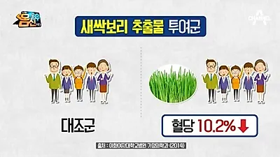 새싹보리 추출물 투여군, 혈당 무려 10.2% 감소해 '혈당 낮추는 법'으로 탁월 효능 및 부작용은?