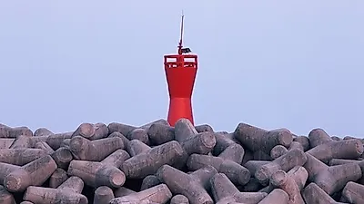 서천의 명물 토실토실 전어와 꽃게를 만날 수 있는 서천꽃게축제