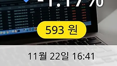 바른전자 22일 593원 장종보고