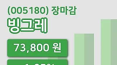 국내주식마감빙그레 30일 73,800원 장종료그래프정리