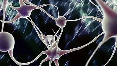 난치병 '루푸스병', 젊은 여성도 충분히 걸린다? 예방법과 치료법 아직 없나.. 증상은?