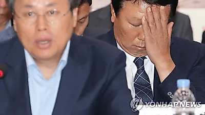 [☞핫키워드]'선동열 감독' 기자회견에서 밝힌 사퇴 이유는?…국정감사 부담 심했나?