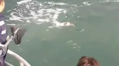 '살려달라옹' 바다에 빠져 목숨을 잃은 뻔한 고양이