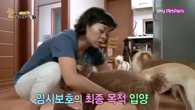 '잘살아보시개', 유기견 임시보호를 하는 이유 "입양이 훨씬 수월"