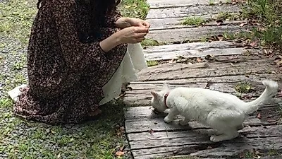 박하선, 길고양이 만나 "굶주린 아이.. 버리고 간걸까"