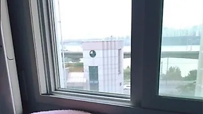 조권, 마약 방석에 빠진 반려견 두 마리