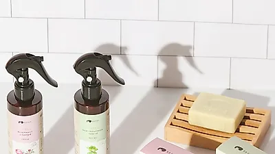 청춘강아지, 사은품 증정 이벤트 비롯한 다양한 행사 진행