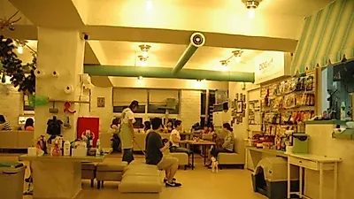 애견카페 사업, 빛 좋은 개살구?