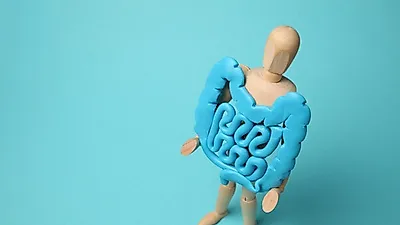 '면역력 높이는 방법=장 건강'? 프리바이오틱스와 프로바이오틱스의 숨겨진 효능