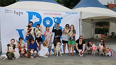 도그워터 페스트벌, 능동 어린이회관에서 열려