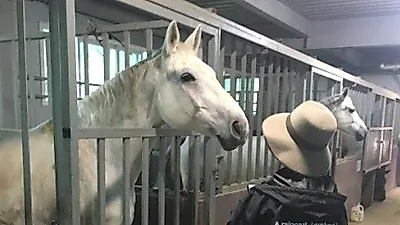 승마장에서 백마와 조우한 황정음 '승마하며 힐링 여행'