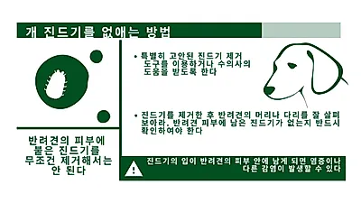 무리하게 떼어내면 감염 위험↑ ‘진드기 제거’하는 법