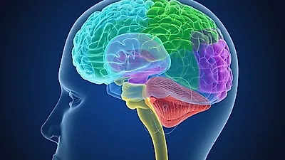 중학생 공부법 특별공개...기억력 좋아지는 법과 기억력 감퇴 예방법
