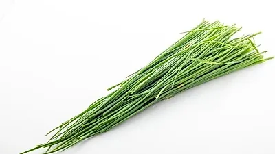 부추는 간과 정력의 채소? 맛있게 먹을 수 있는 백종원 부추 겉절이 레시피까지
